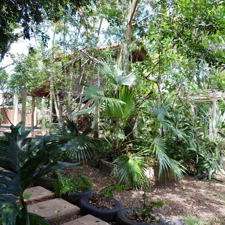 Ecocentro Brasil - Espaço Ecológico Sao Pedro  Exterior foto
